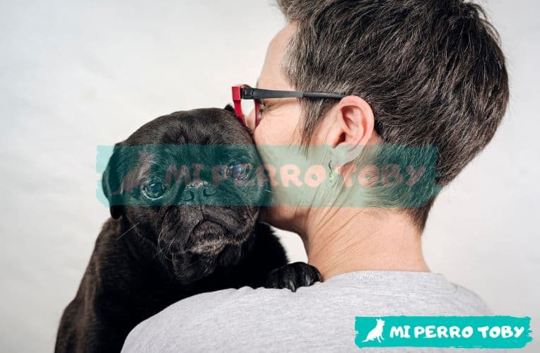 Perro pequeño negro en los brazos de una persona visto de espalda en el post sobre adopción de perros.