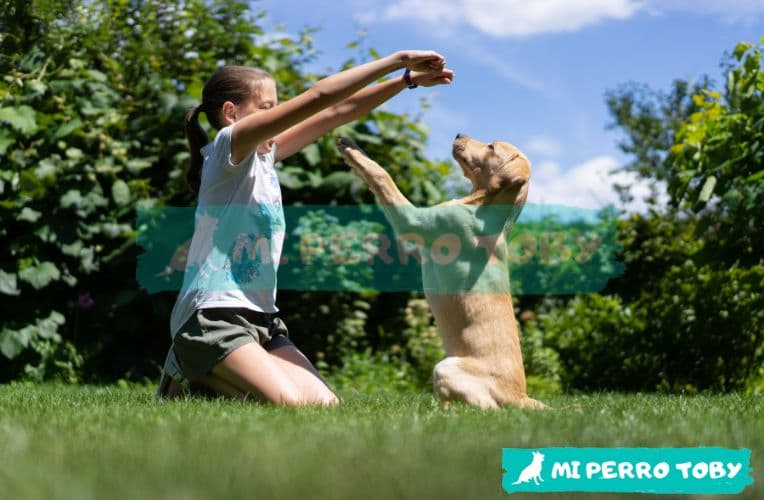 Una niña entrenando a su perro en un jardín.